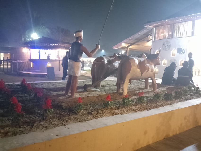From Pokhara: 4-Day Mardi Himal Trek and 2-Day Chitwan … photo 5