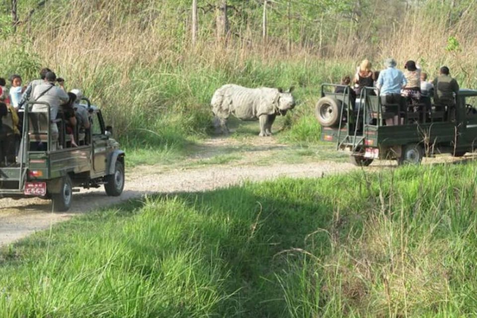 Chitwan National Park Tour photo 2
