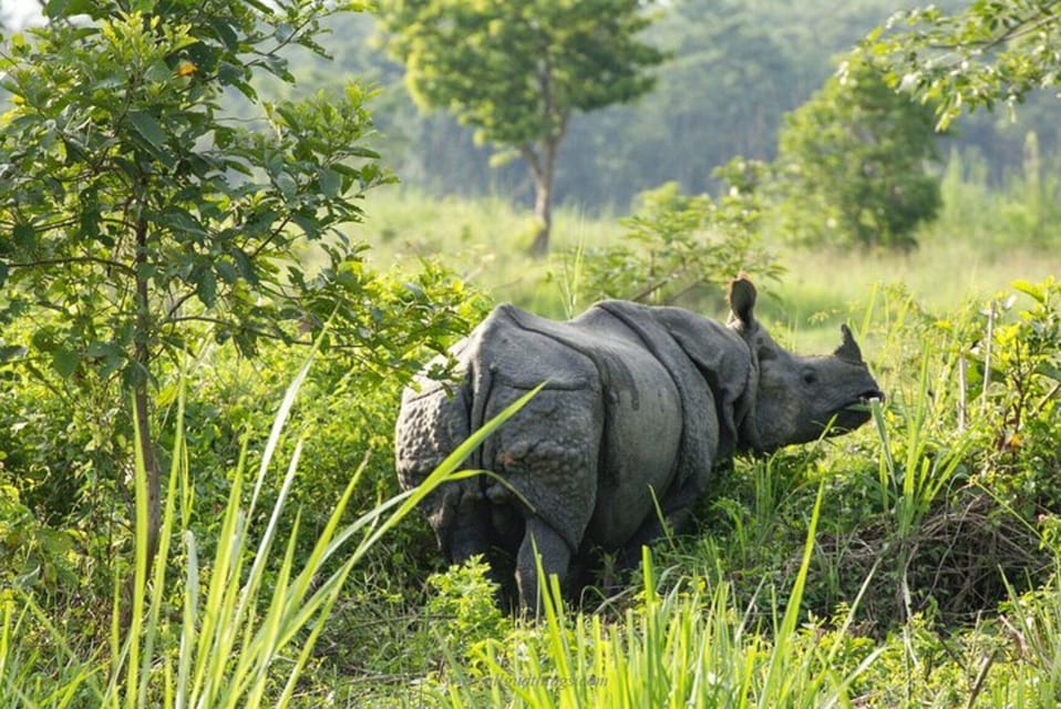 Chitwan National Park Tour photo 4
