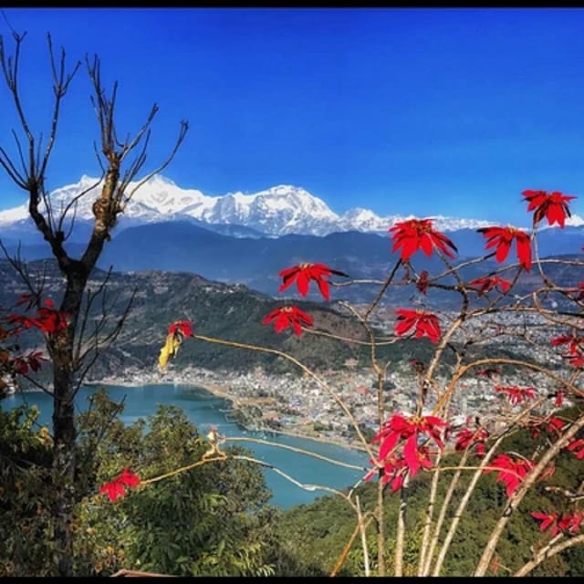 Pokhara: World Peace Pagoda Private Guided Tour photo 5