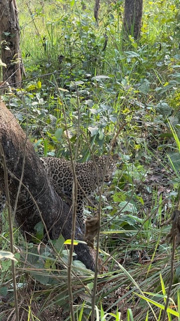 Chitwan National Park: Full Day Jungle Walk and Canoeing photo 2