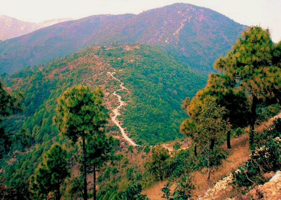 Kathmandu: Hike, Heritage & Holiness | Champadevi day Hiking photo 4