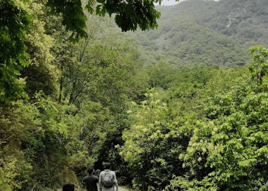 Kathmandu: Tarebhir Hiking Adventure with Spa Option photo 3