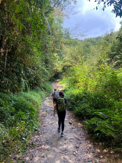 Kathmandu: Day Hike with Breakfast and Lunch photo 3