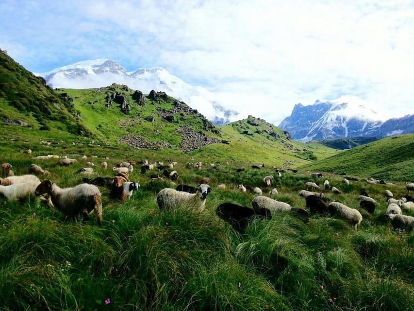 Kori Danda 3-Day Trek photo 4
