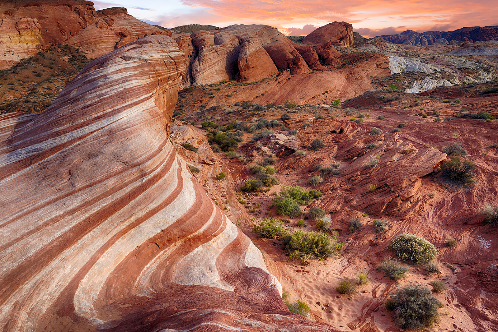 8-Day Magnificent West Bus Tour [All-Inclusive Tour] : San Francisco, Yosemite, Monument Valley & Antelope Canyon
