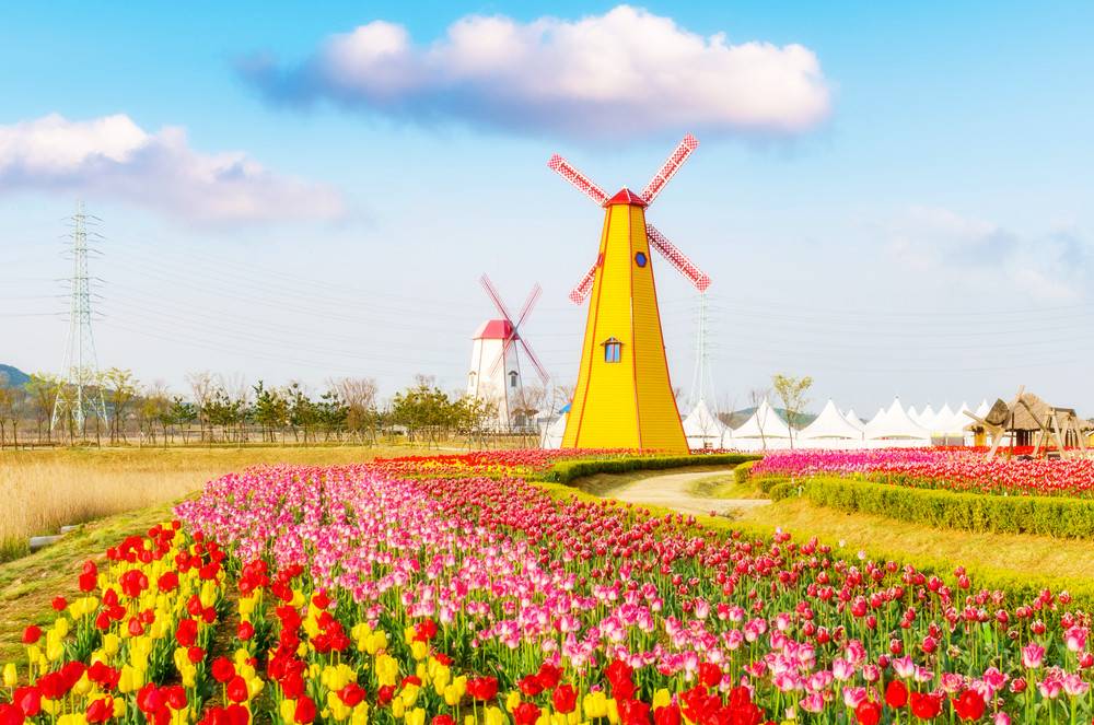 3-Day Western Europe Tour from Frankfurt to Paris: Amsterdam, Zaanse Schans and Brussels