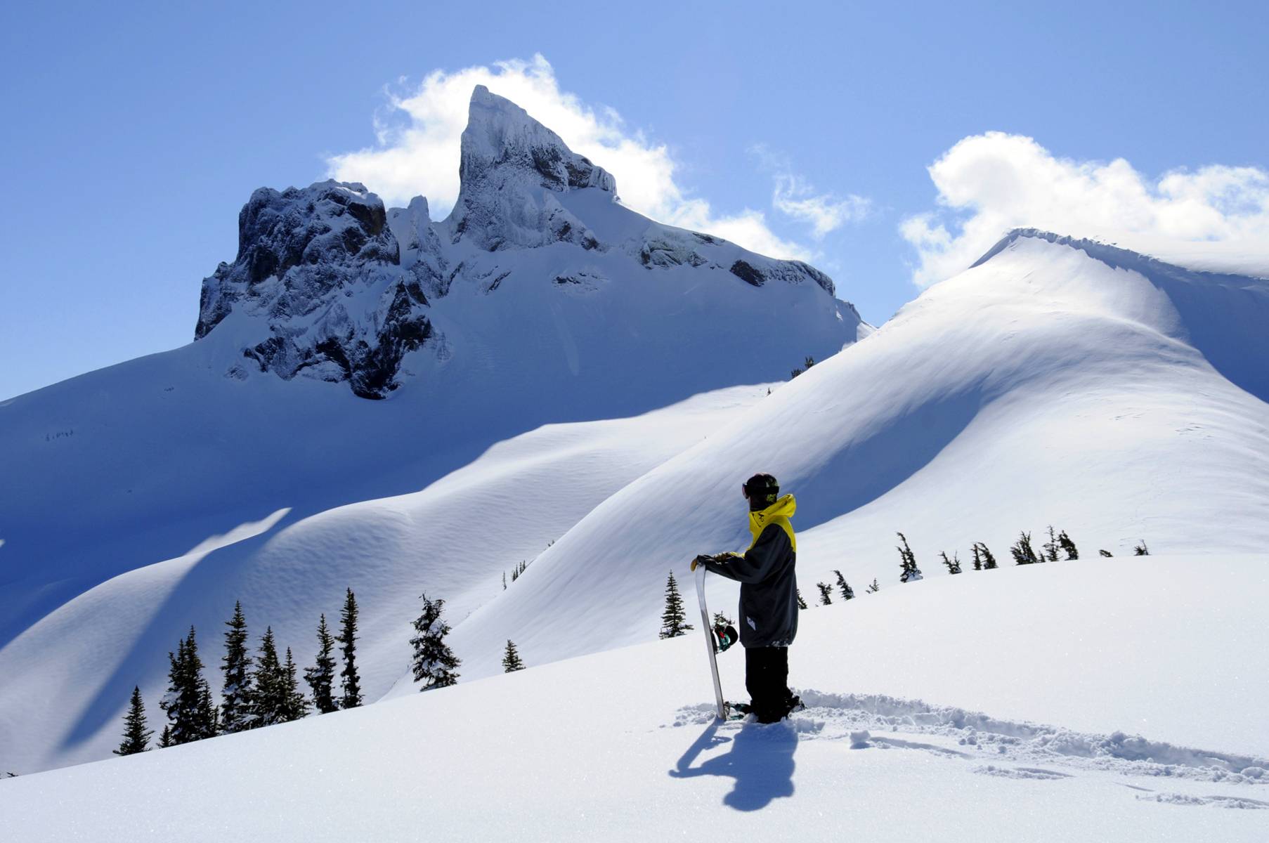 【Winter Tour】3-Day Vancouver Winter Tour from Vancouver: Choose Victoria or Whistler