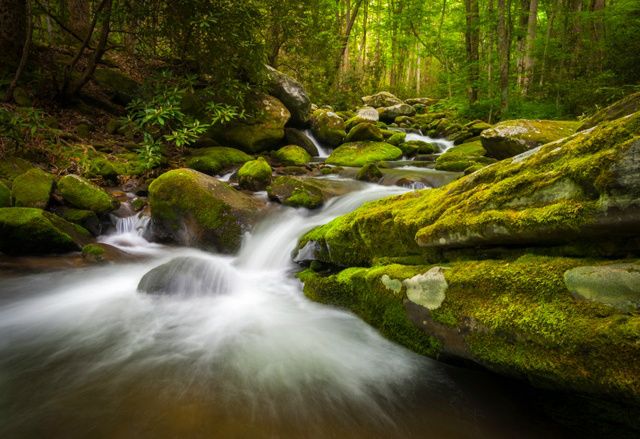 13-Day Southern Explorer Tour from New York: Washington D.C., Philadelphia, Great Smoky Mountains, Nashville, New Orleans and Orlando