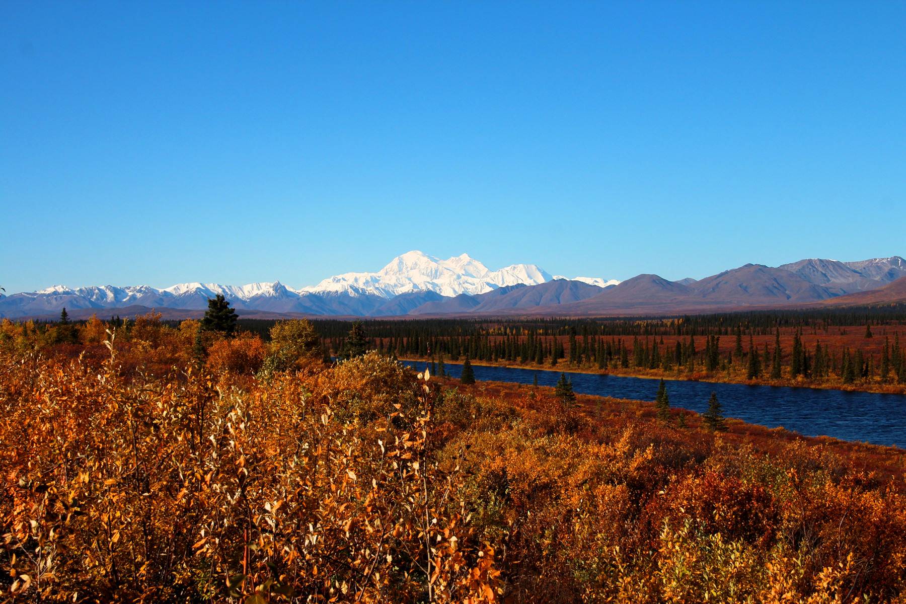 10-Day Alaska Journey Tour from Anchorage【Max 16 Pax Small Group】: Homer, Seward, Denali National Park & Preserve
