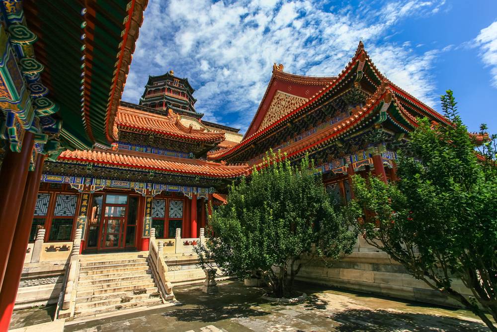 8-Day Historical and Cultural Private Tour from Beijing: Xi'an and Shanghai｜The Forbidden City, Great Wall, Terracotta Army and the Bund — photo 2 of 5