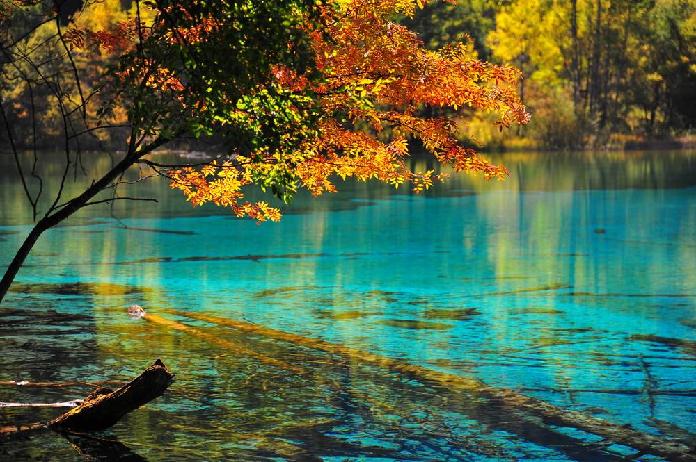 3-Day Jiuzhaigou & Huanglong High-Speed Rail Tour from Chengdu: UNESCO Scenery, Tibetan Culture & Gradual Altitude Acclimatization — photo 6 of 10