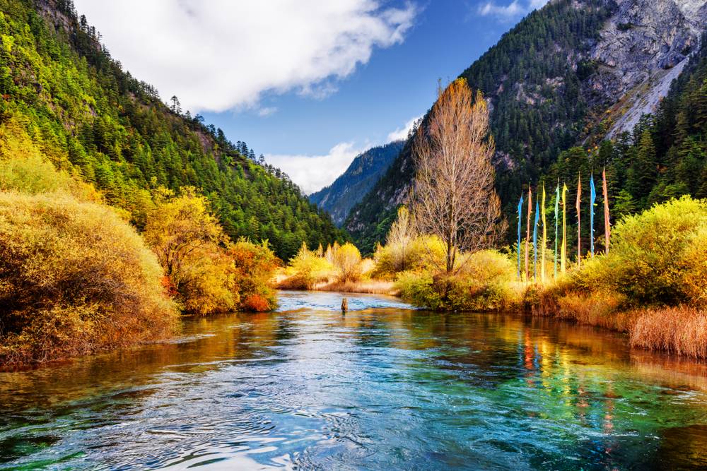3-Day Jiuzhaigou & Huanglong High-Speed Rail Tour from Chengdu: UNESCO Scenery, Tibetan Culture & Gradual Altitude Acclimatization — photo 7 of 10